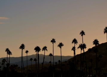 justin-scocchio-r41kyE0d0I4-unsplash justin-scocchio-r41kyE0d0I4-unsplash